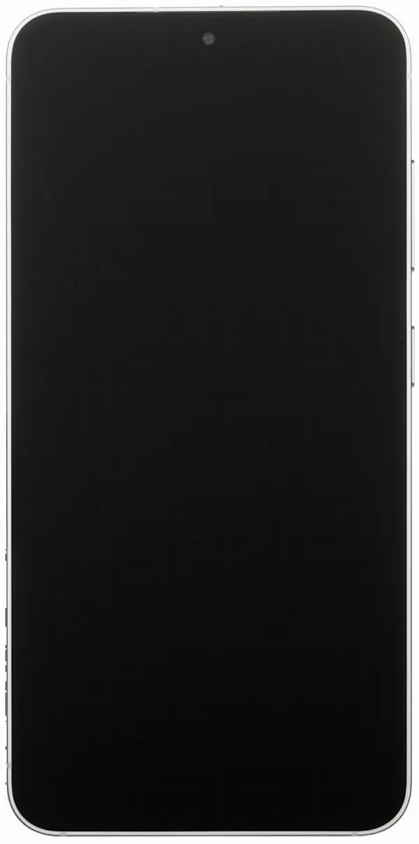 Смартфон Samsung Galaxy S25 12/256 Silve