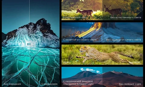 Телевизор TCL 65C8K 