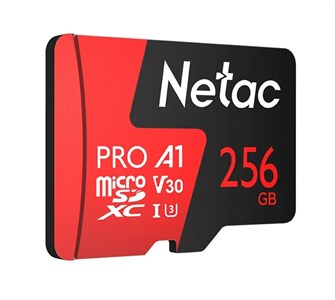 {{photo.Alt || photo.Description || 'Карта памяти MicroSDXC 256GB Class 10 Netac P500 Extreme Pro без адаптера'}}